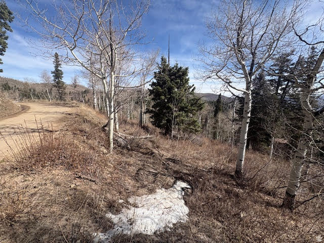 PINE MEADOW RANCH PLAT F - Land