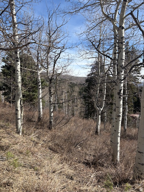 PINE MEADOW RANCH PLAT F - Land