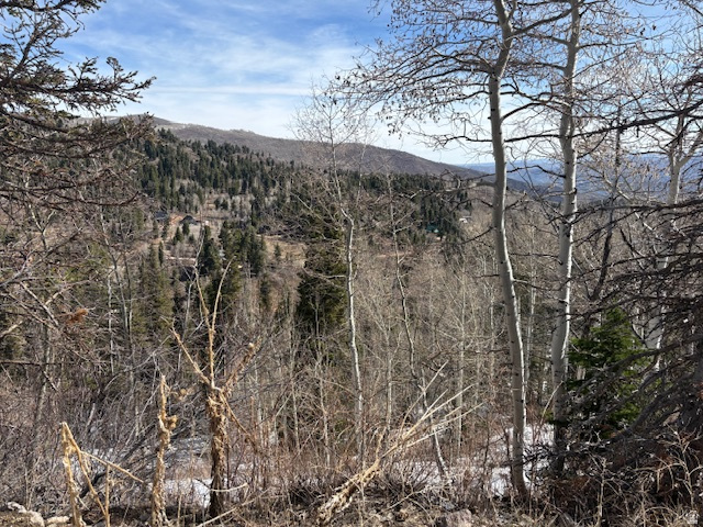 PINE MEADOW RANCH PLAT F - Land