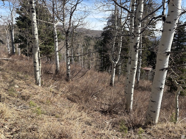 PINE MEADOW RANCH PLAT F - Land