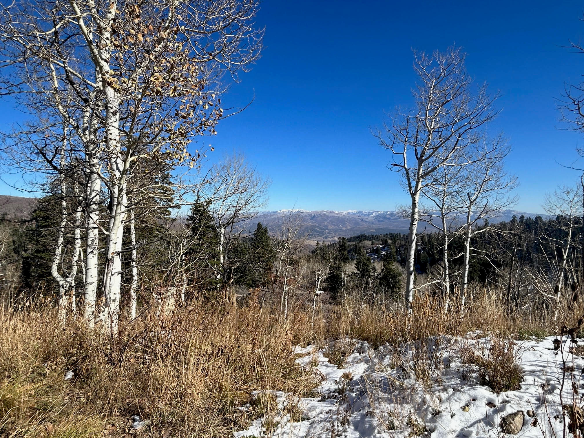 PINE MEADOW RANCH PLAT F - Land