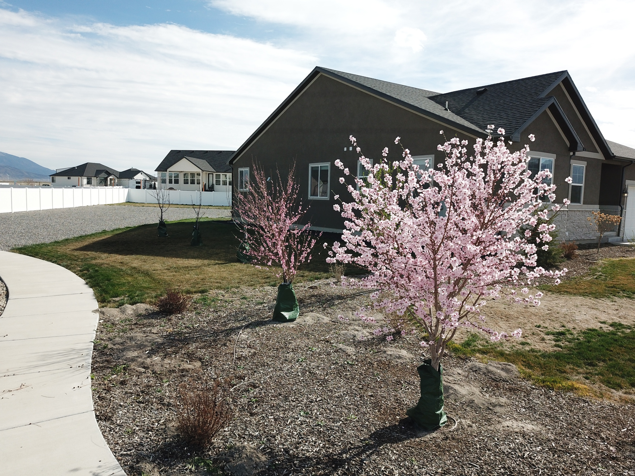 ANDERSON FARMS - Residential