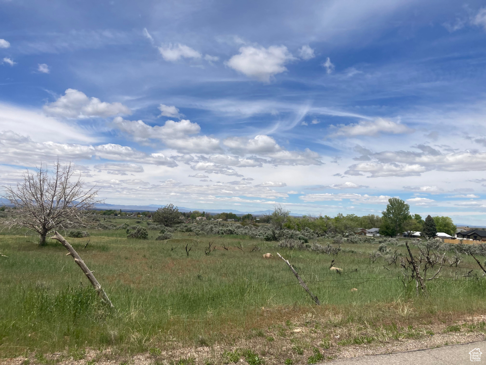 Land, Fillmore, Utah image 5