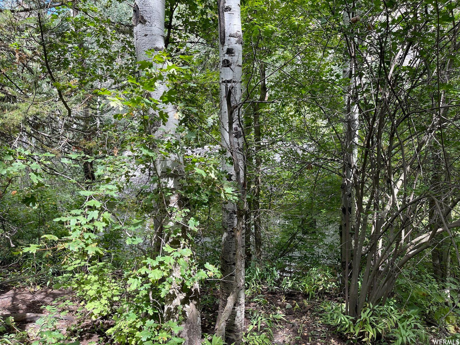 SHADYSIDE SUBDIVION, BLOCK A - Land