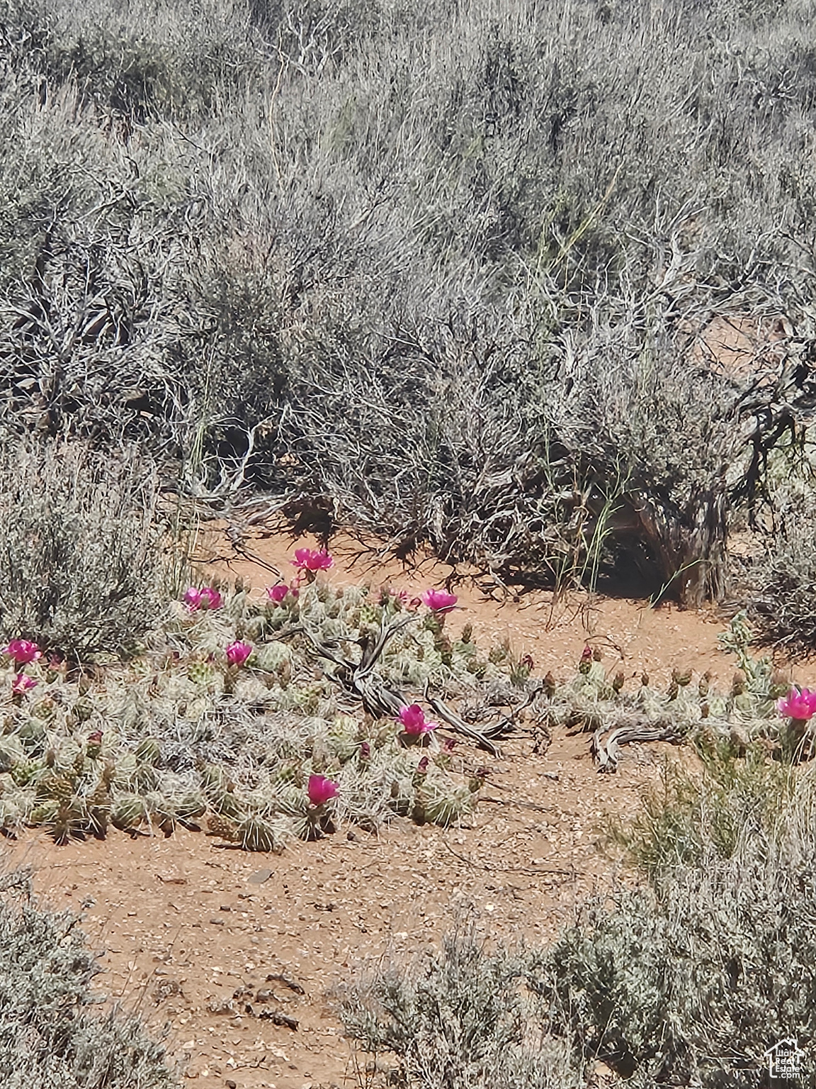 #7, Duchesne, Utah image 7