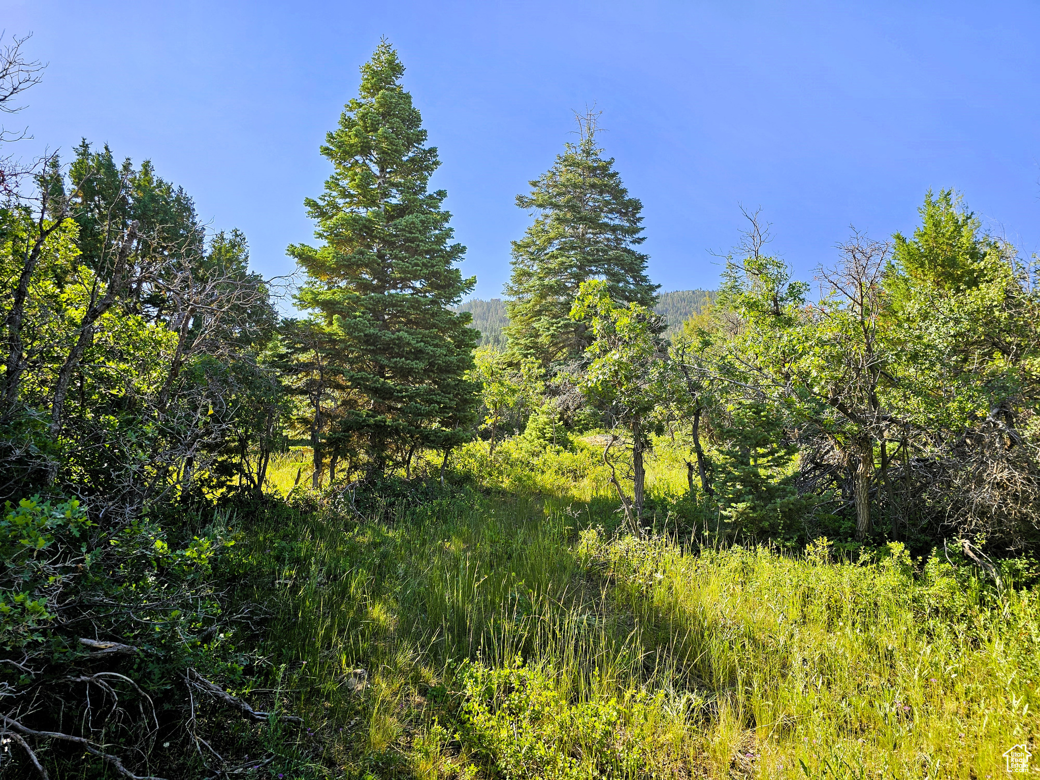 9 Oak Crest Dr #9, Mt Pleasant, Utah image 8