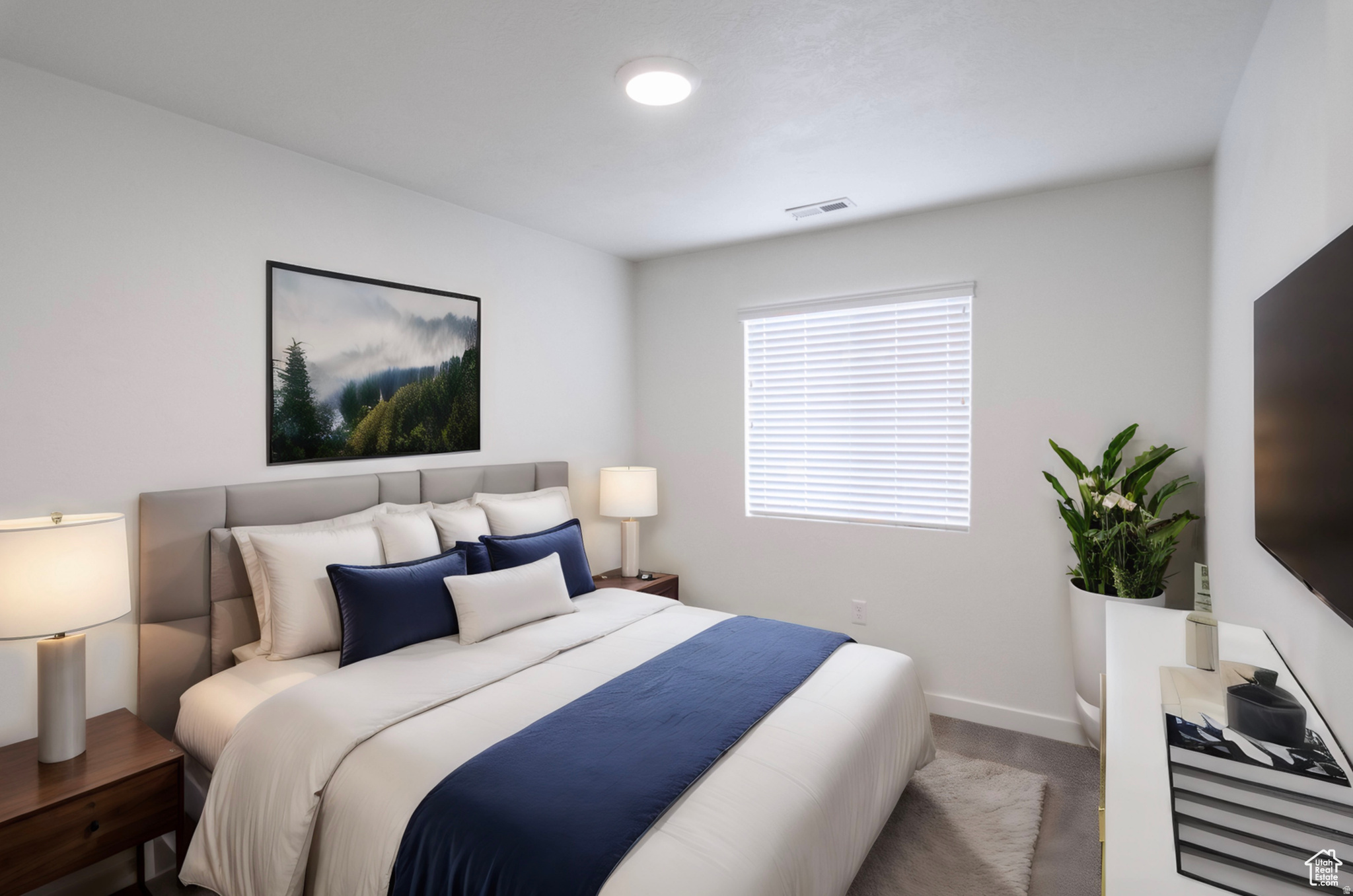 COLONY FARMS - Residential Income