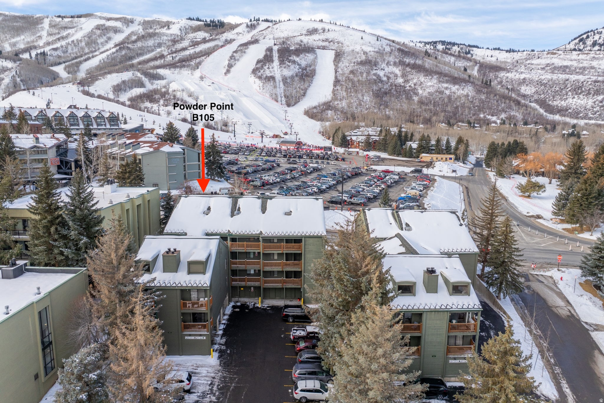 POWDER POINTE - Residential