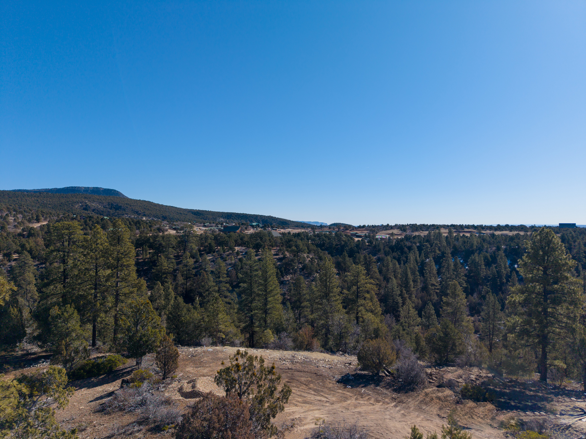 LITTLE PONDEROSA - Land