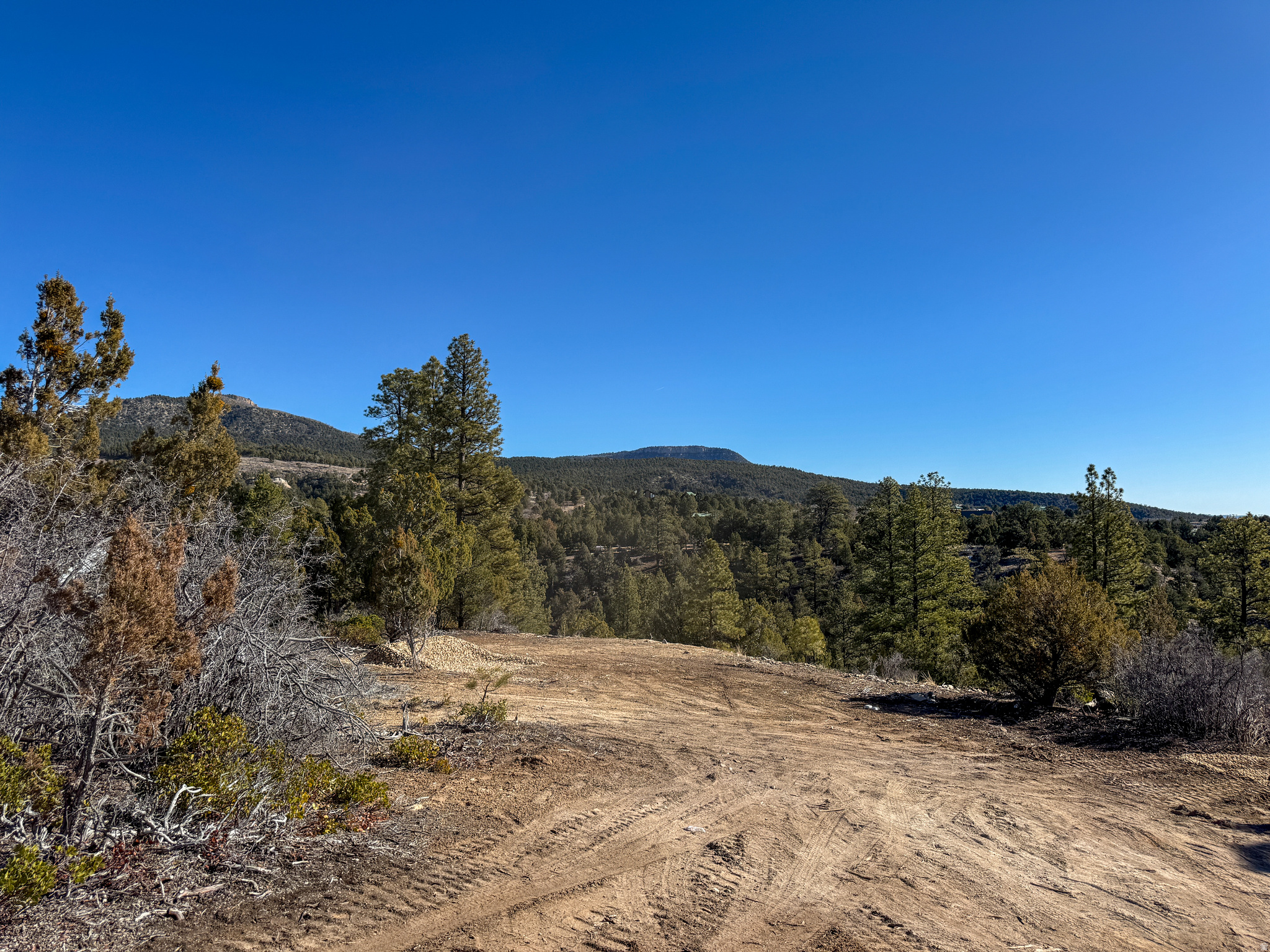 LITTLE PONDEROSA - Land