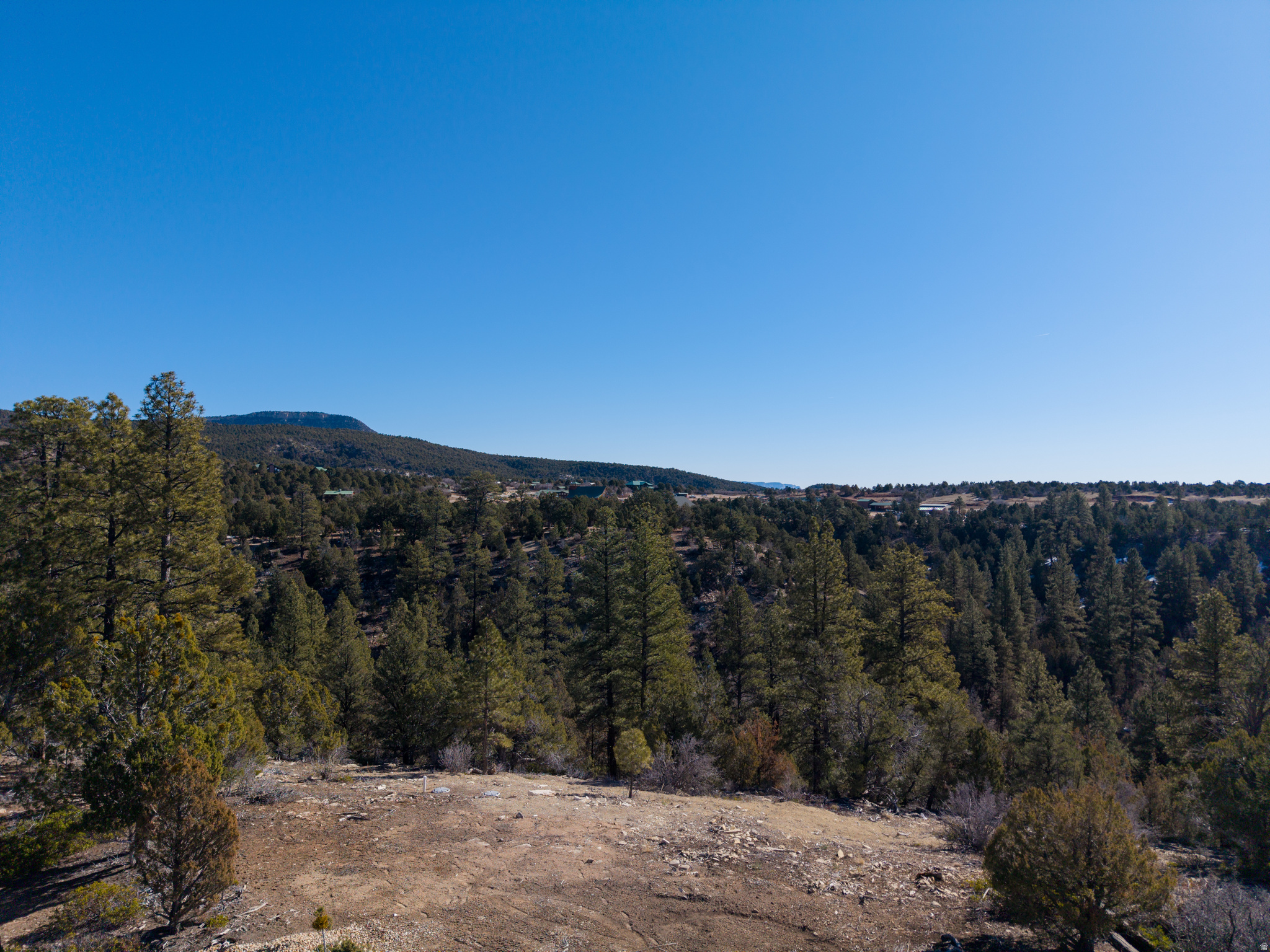 LITTLE PONDEROSA - Land