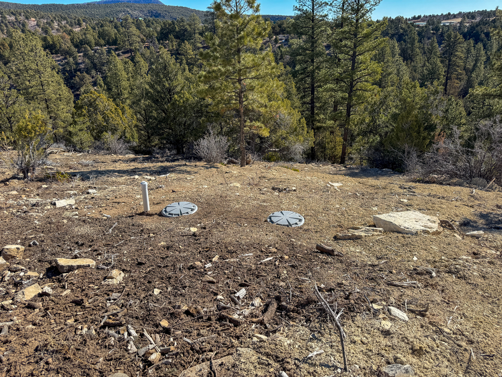 LITTLE PONDEROSA - Land