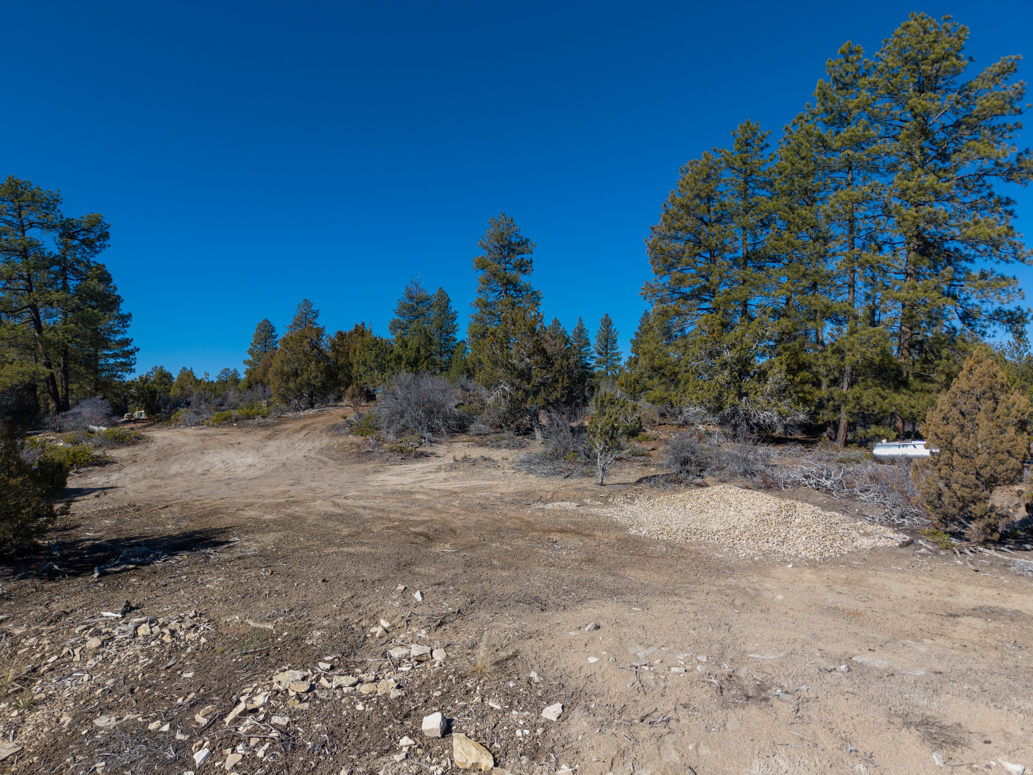 LITTLE PONDEROSA - Land