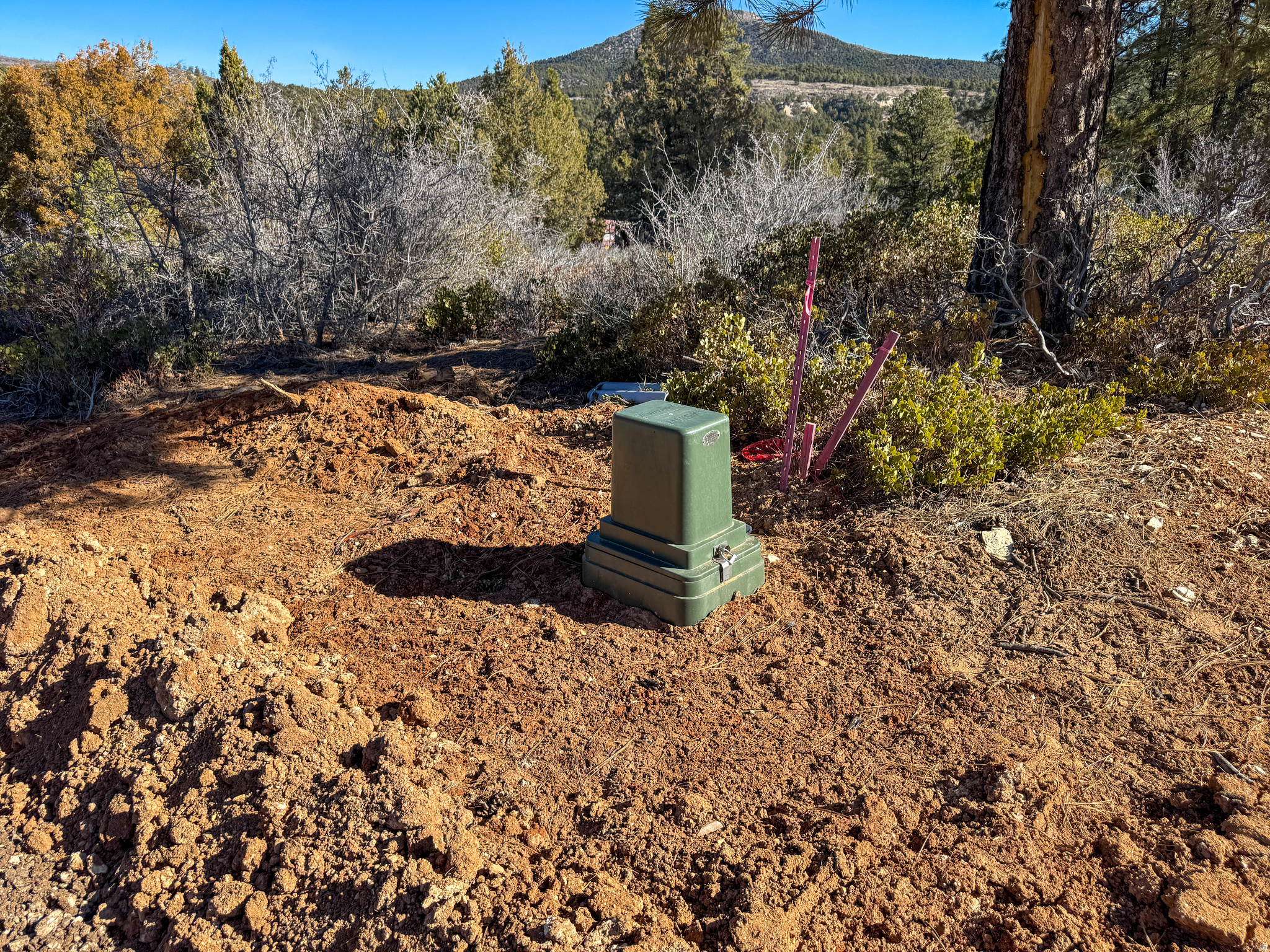 LITTLE PONDEROSA - Land