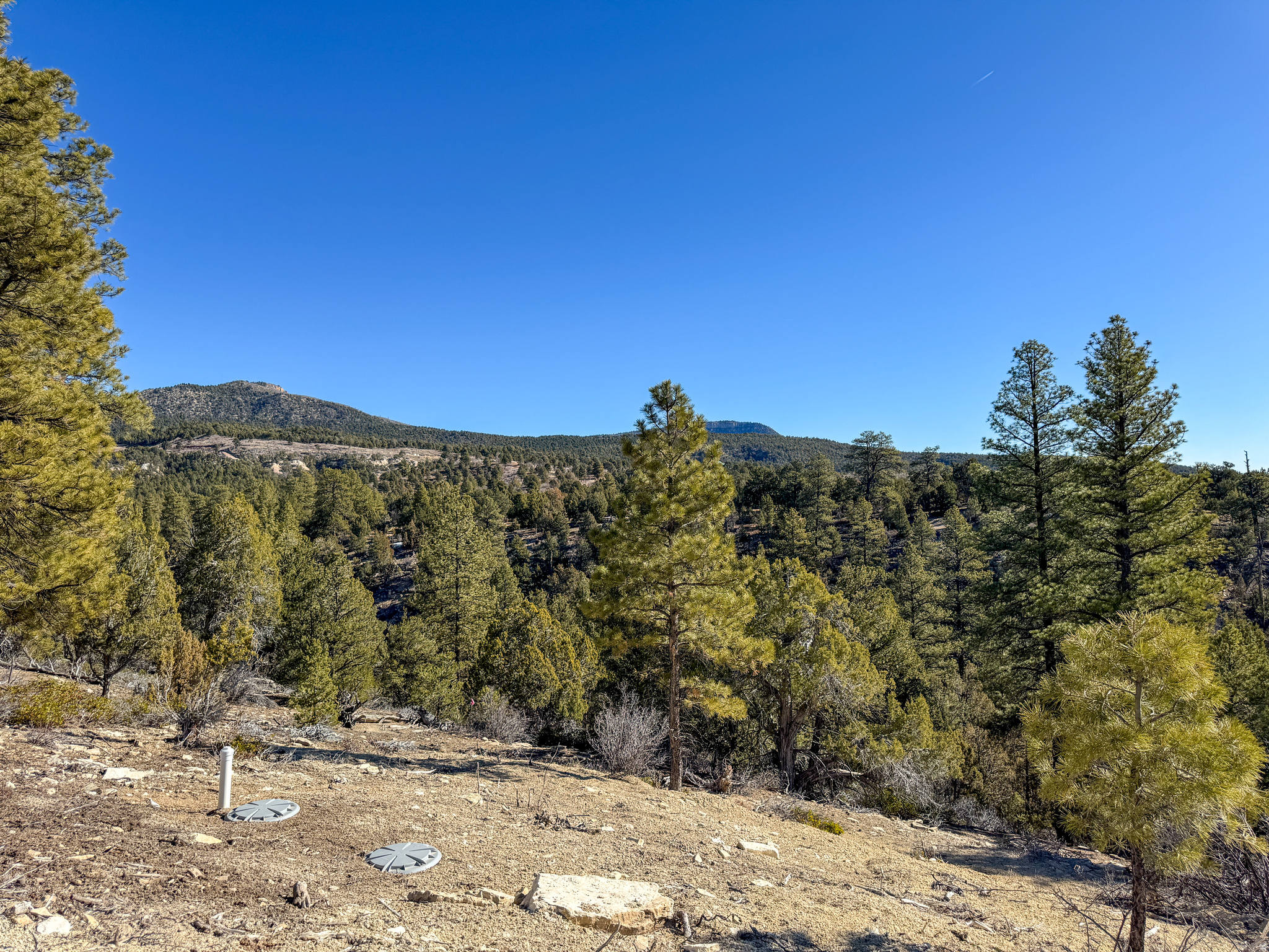 LITTLE PONDEROSA - Land