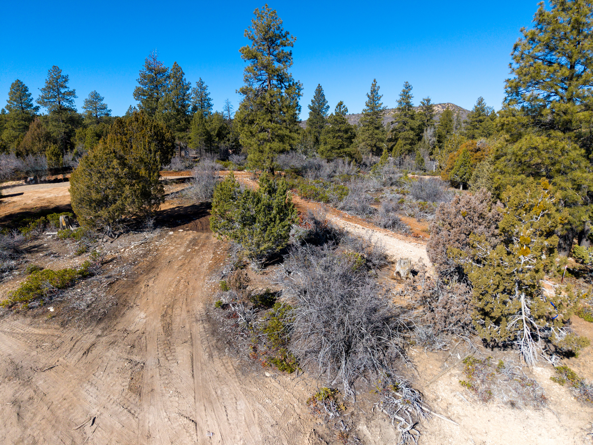 LITTLE PONDEROSA - Land