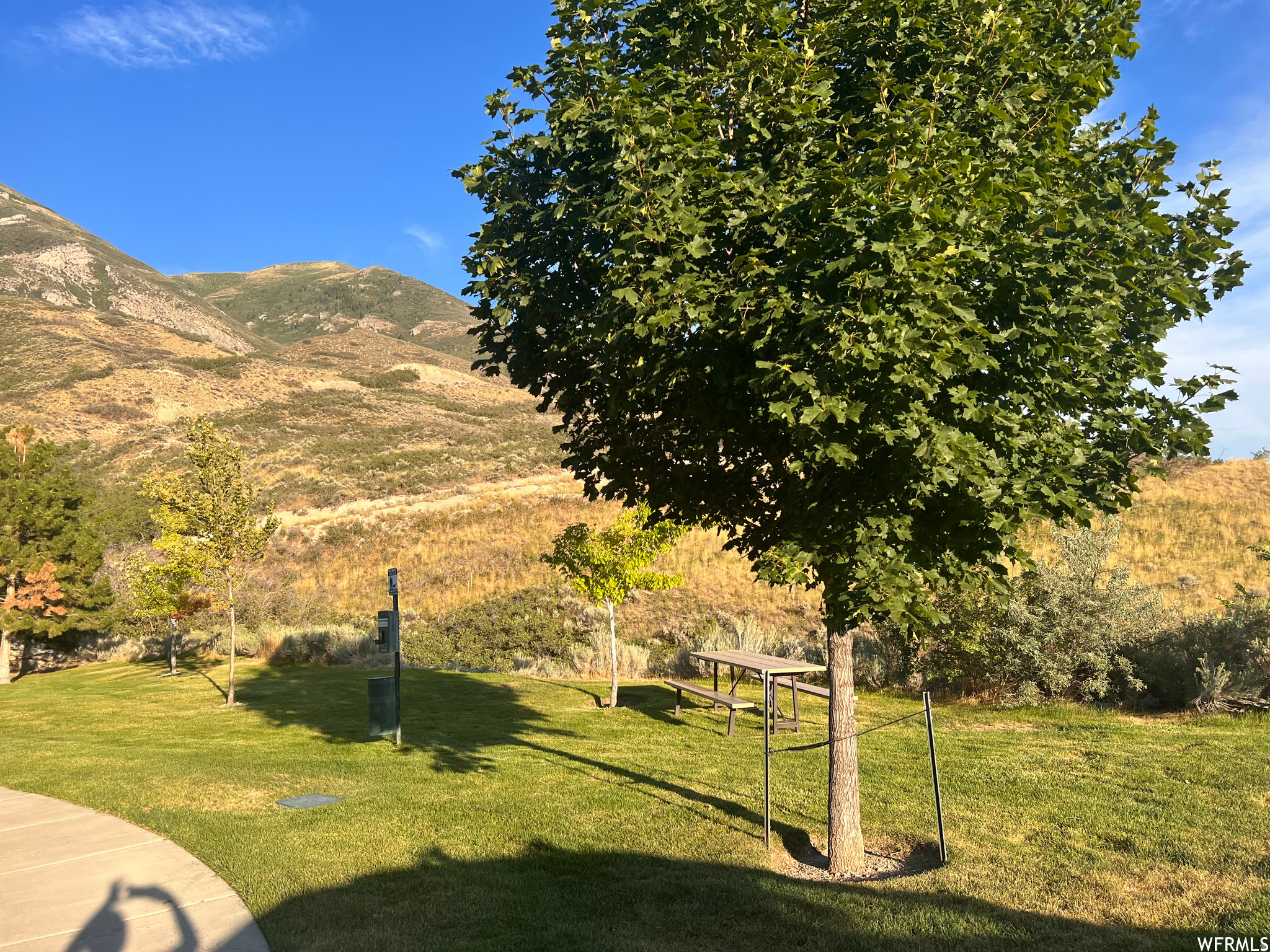 THE CEDARS TOWNHOMES - Residential