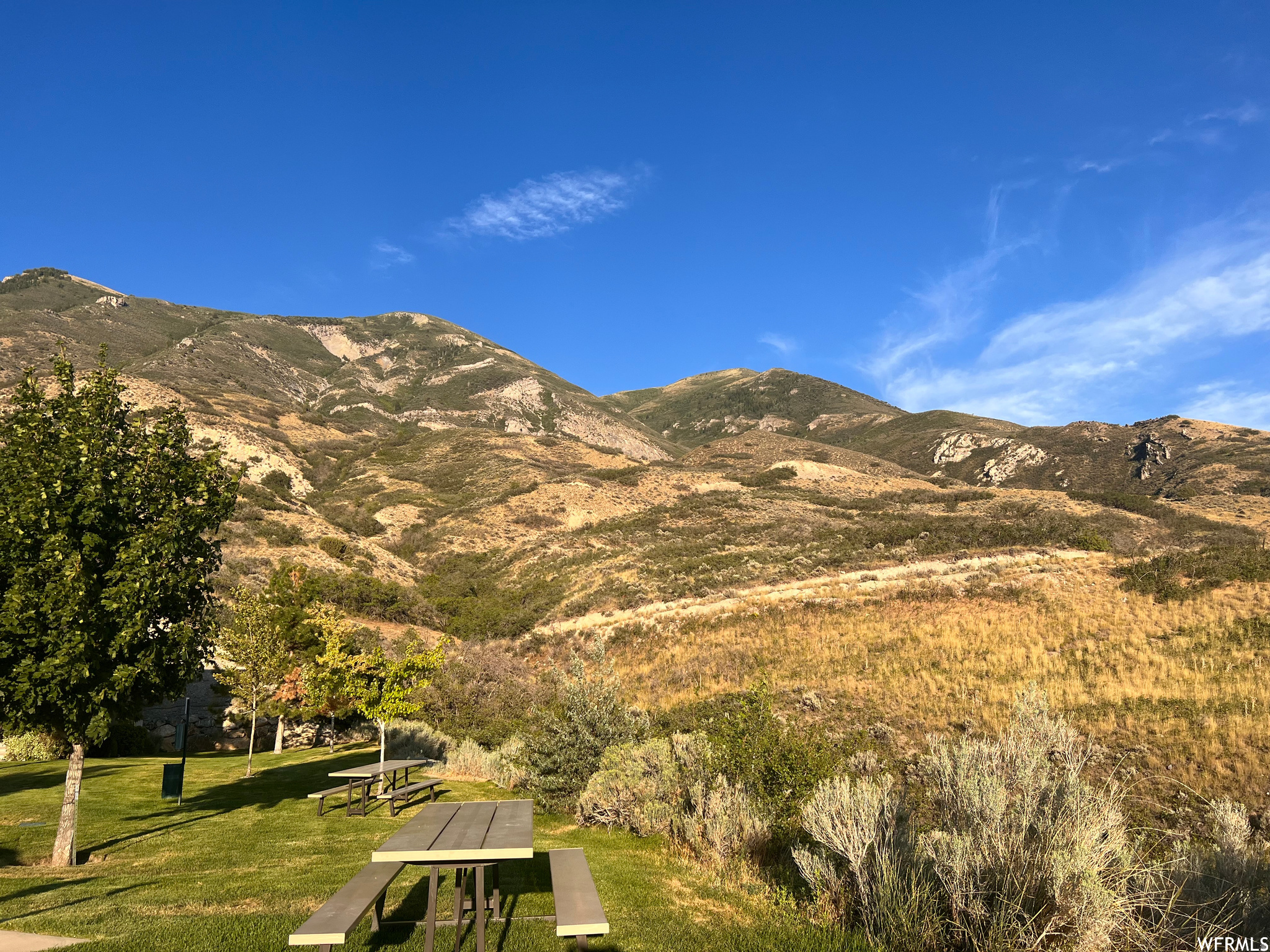 THE CEDARS TOWNHOMES - Residential