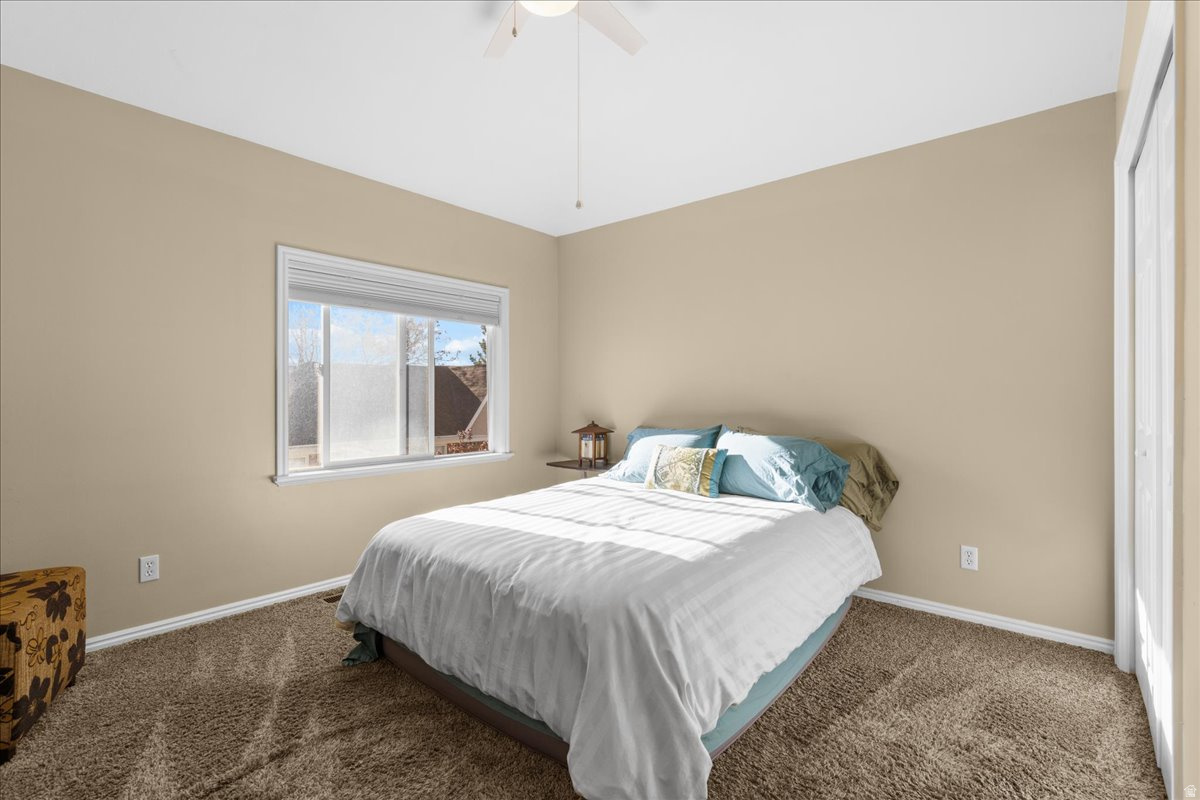 WHITE PINES - Residential