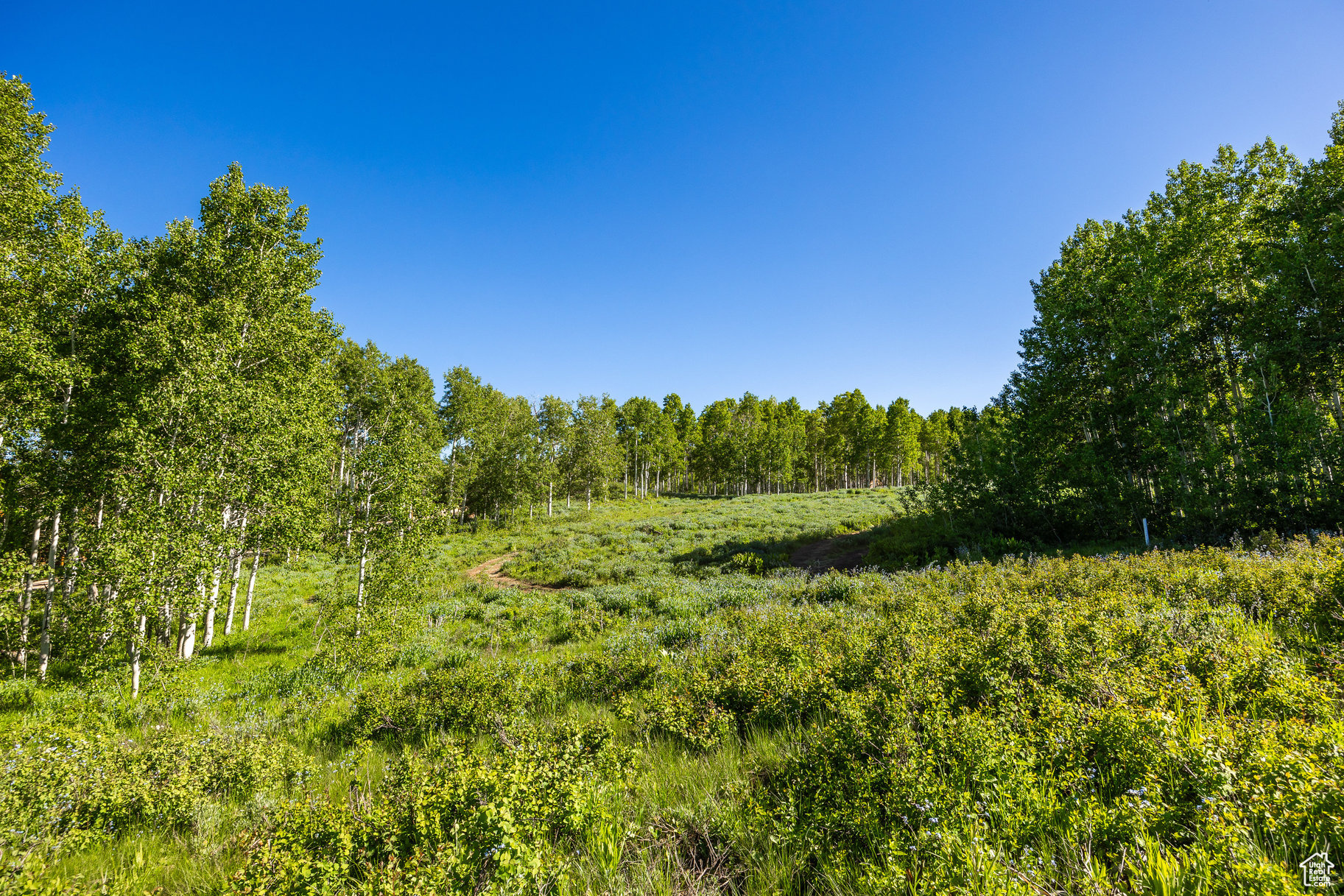 TIMBER LAKES - Land