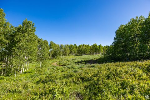 Tiny photo for 11616 E CLIFFROSE DR #1836, Heber City, UT 84032 (MLS # 2116791)