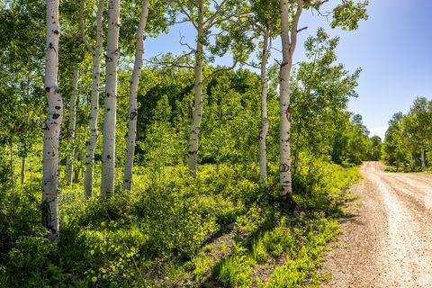 Tiny photo for 11616 E CLIFFROSE DR #1836, Heber City, UT 84032 (MLS # 2116791)