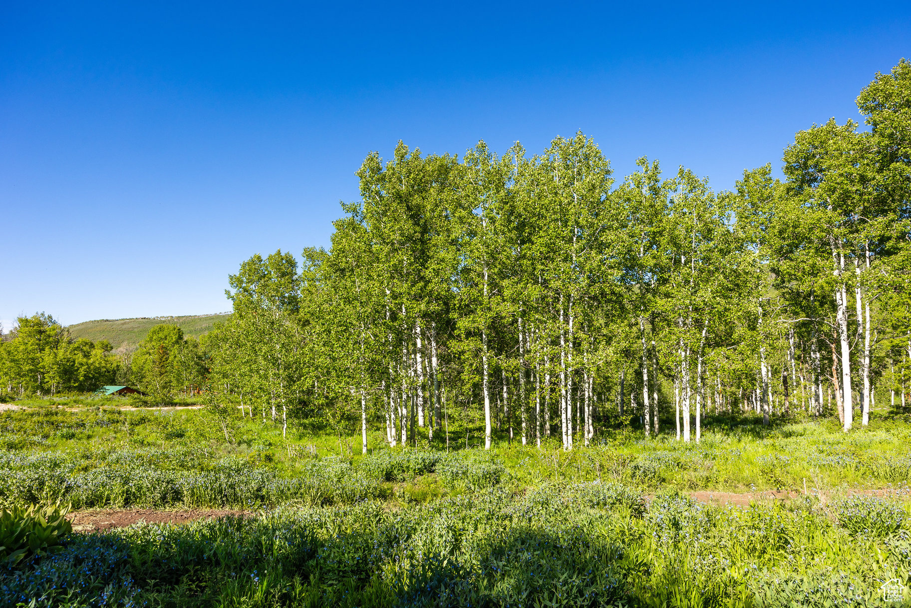 TIMBER LAKES - Land