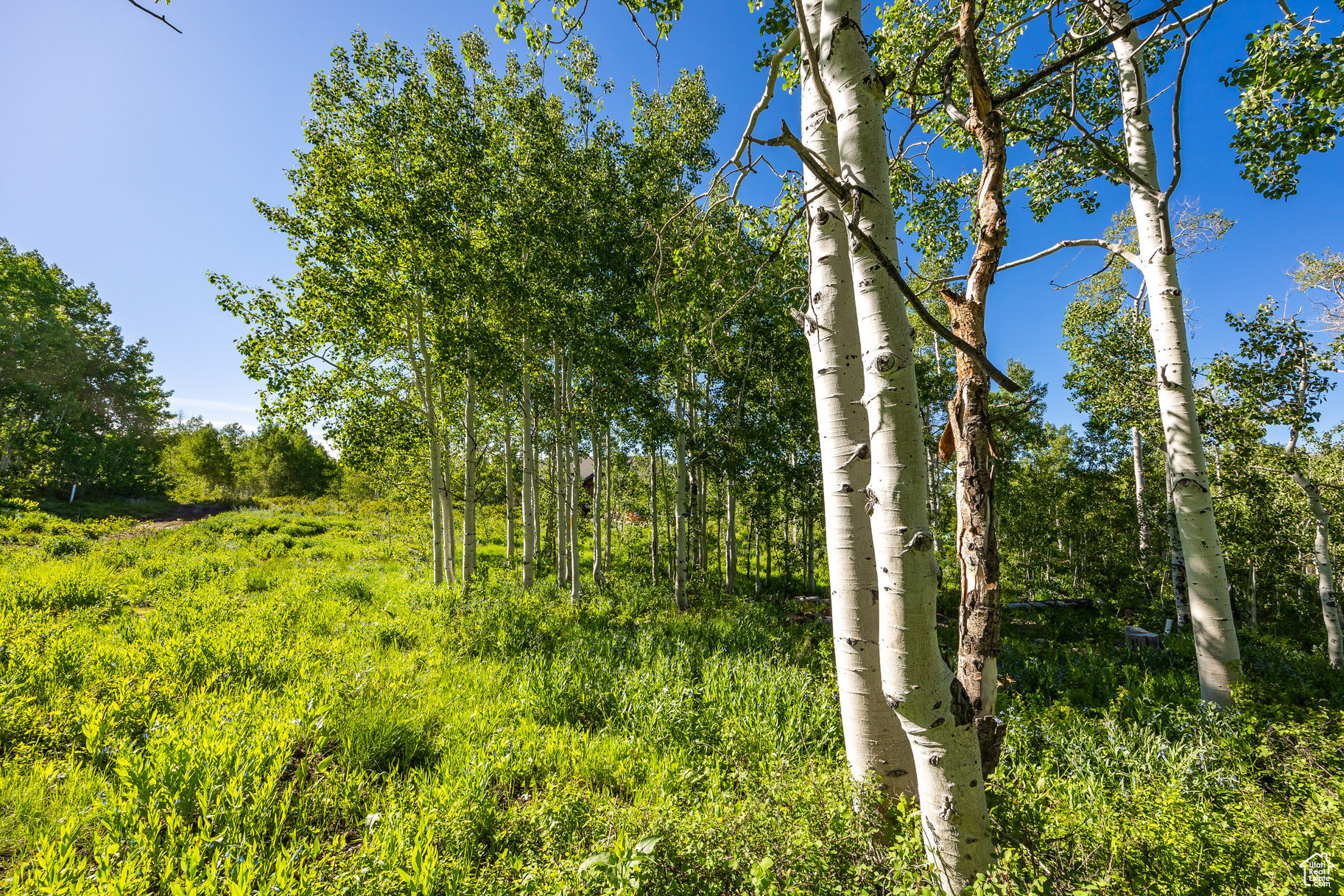 TIMBER LAKES - Land