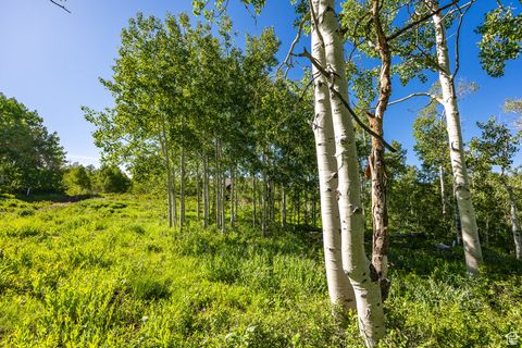 Tiny photo for 11616 E CLIFFROSE DR #1836, Heber City, UT 84032 (MLS # 2116791)