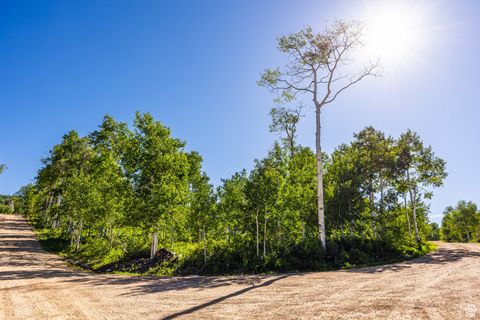 Tiny photo for 11616 E CLIFFROSE DR #1836, Heber City, UT 84032 (MLS # 2116791)