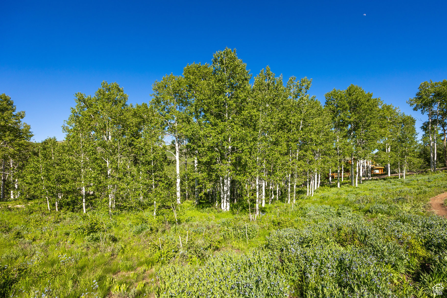 TIMBER LAKES - Land
