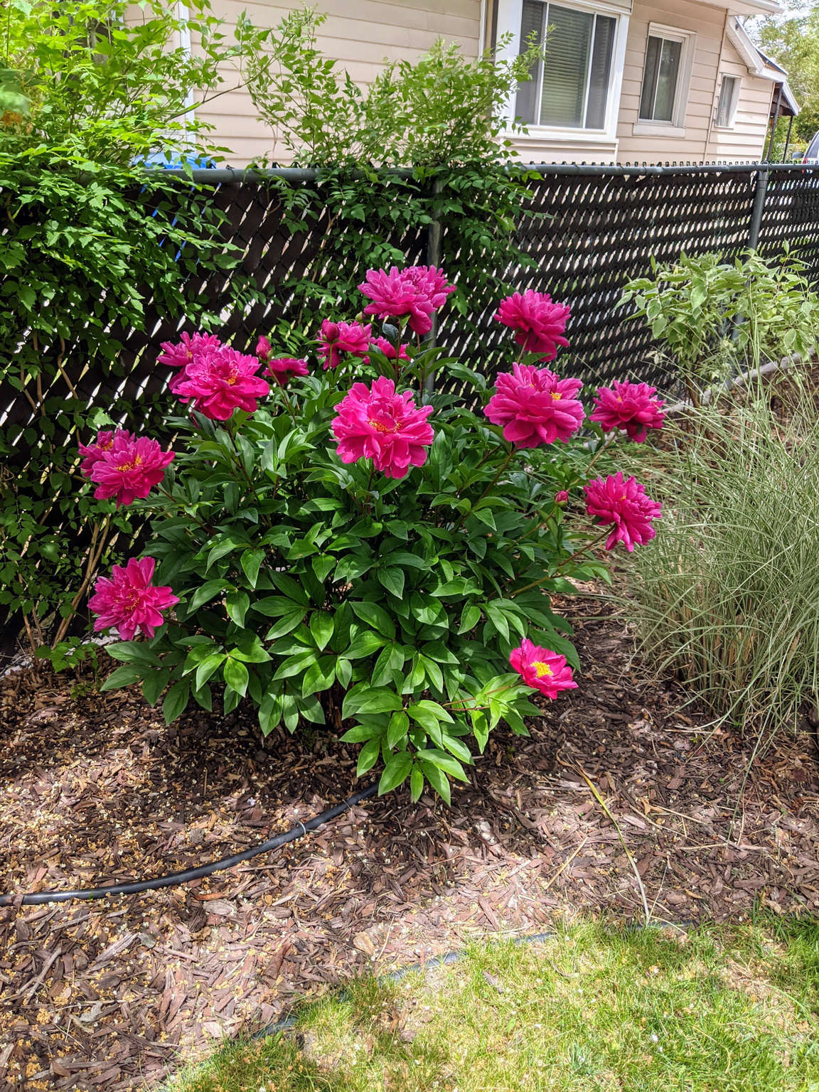 JORDAN PLACE - Residential