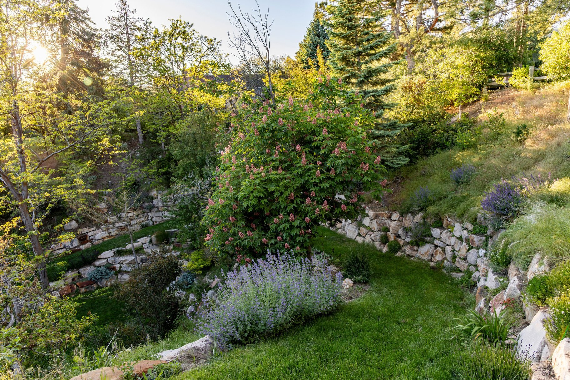 ARLINGTON HILLS - Residential