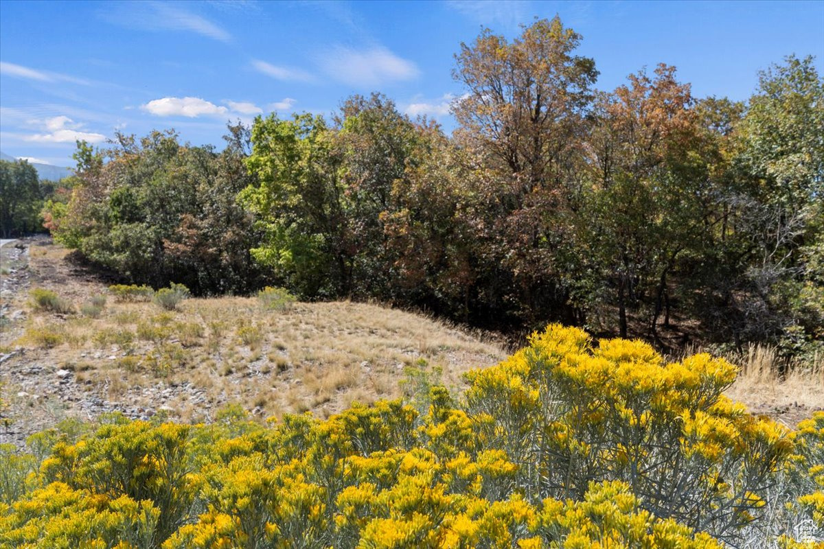 WOODLAND HILLS - Land