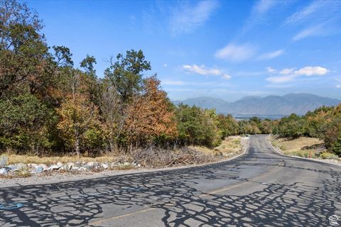 Tiny photo for 1067 S SUMMIT DR, Woodland Hills, UT 84653 (MLS # 2112909)