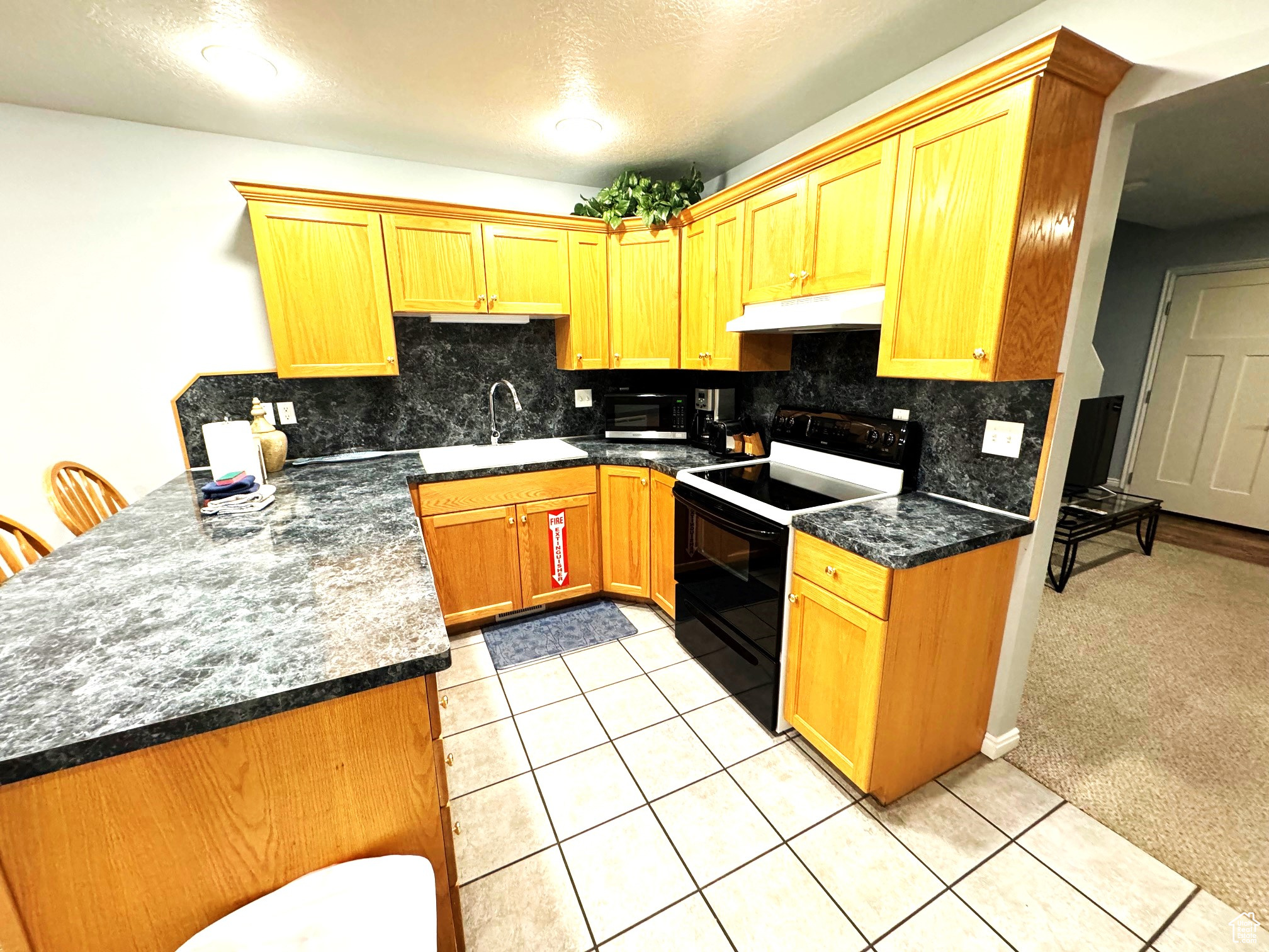 890 N Newberg Pl #3, Garden City, Utah image 8