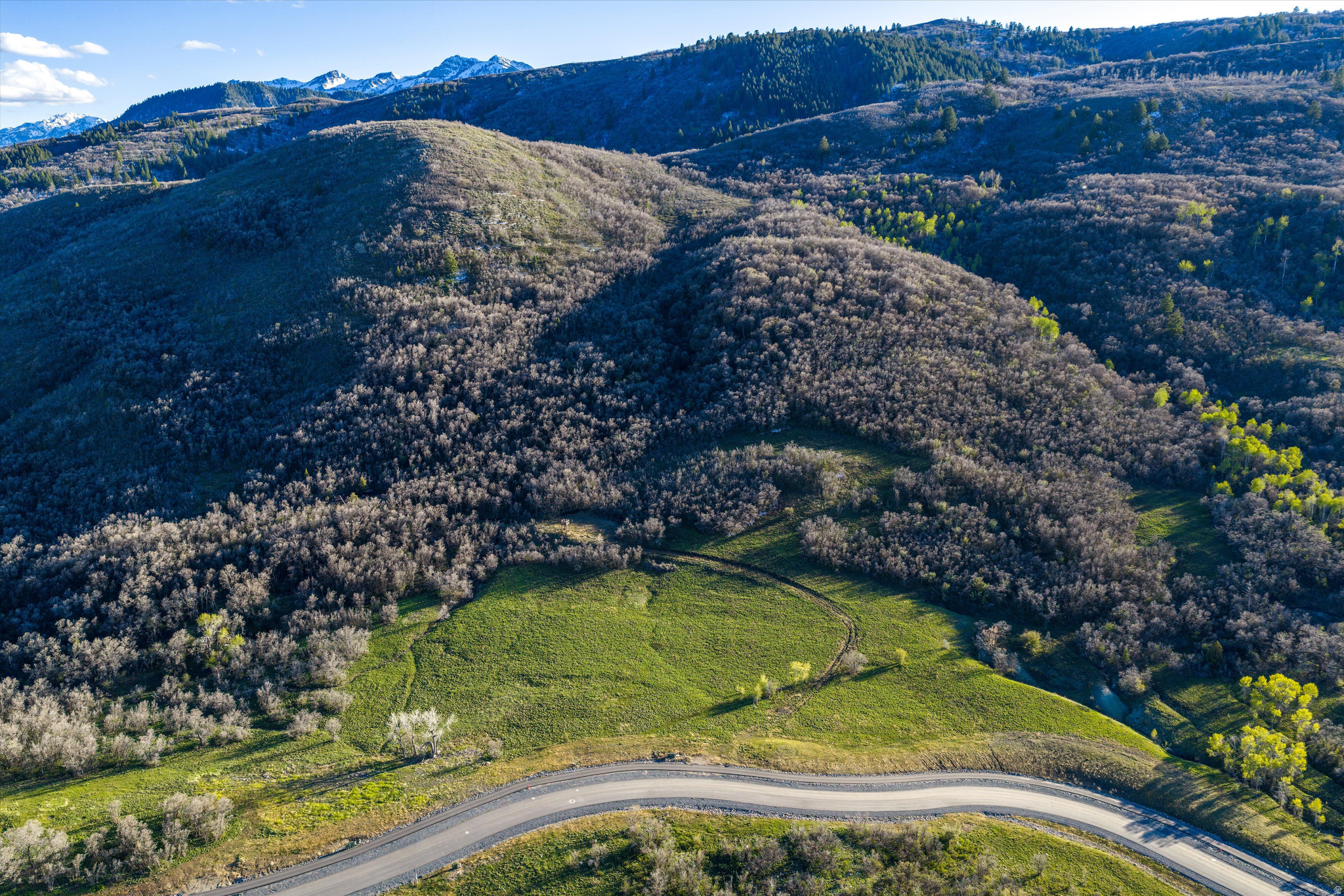 OSPREY RANCH - Land