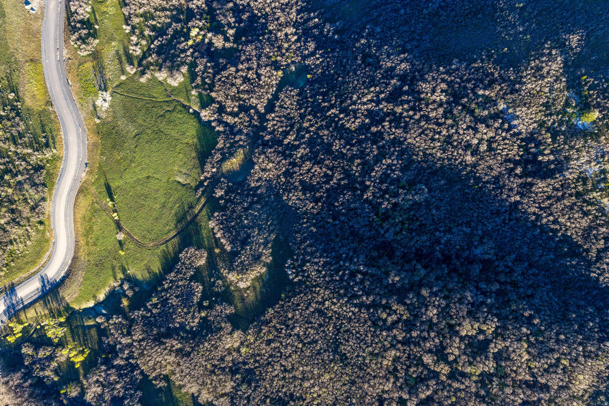 OSPREY RANCH - Land