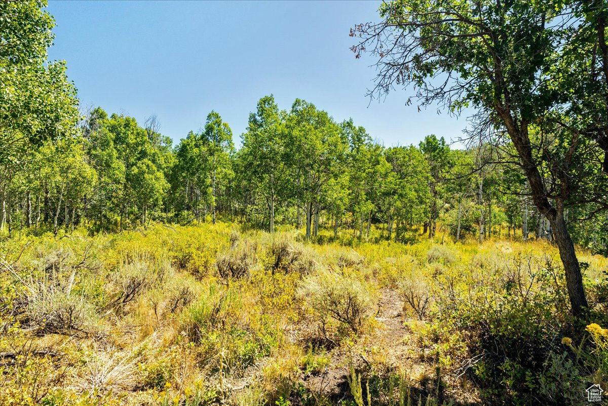 TIMBER LAKES - Land