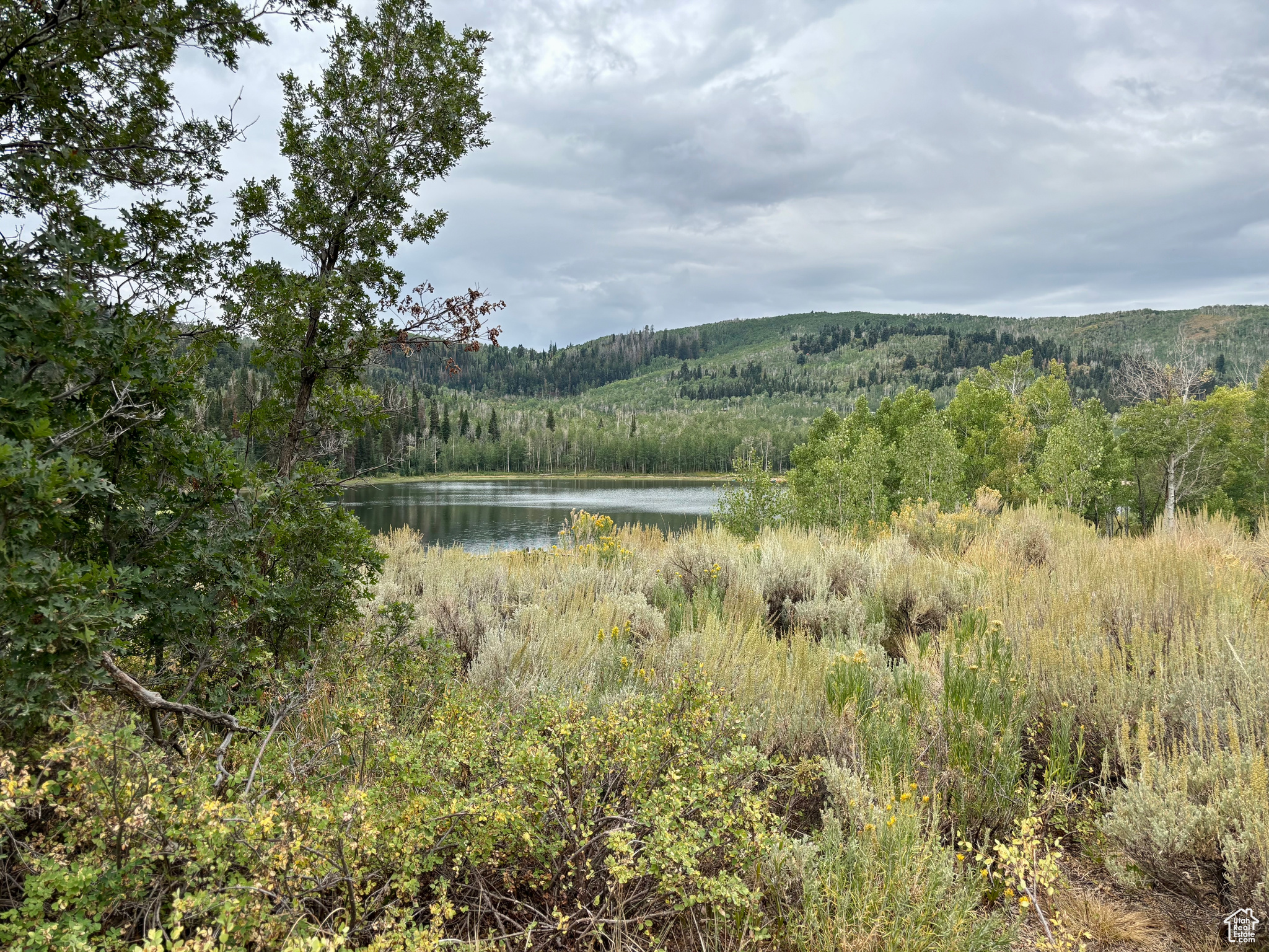 TIMBER LAKES - Land