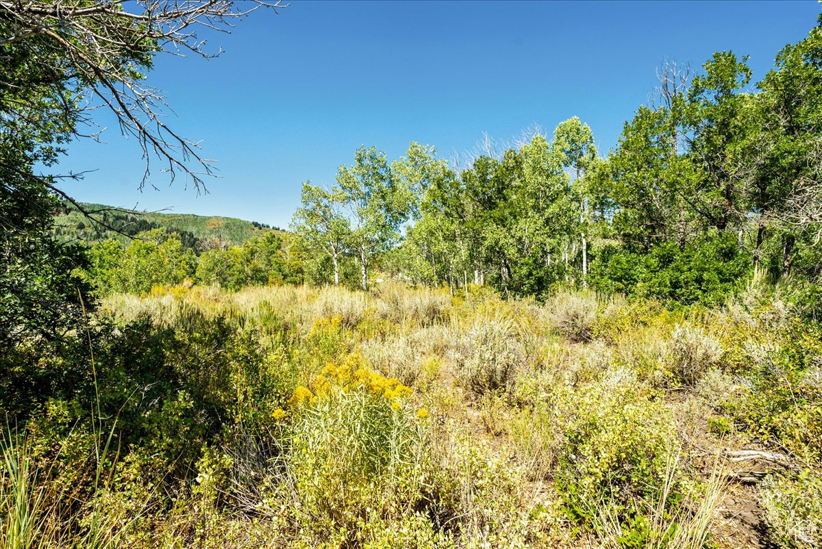 TIMBER LAKES - Land