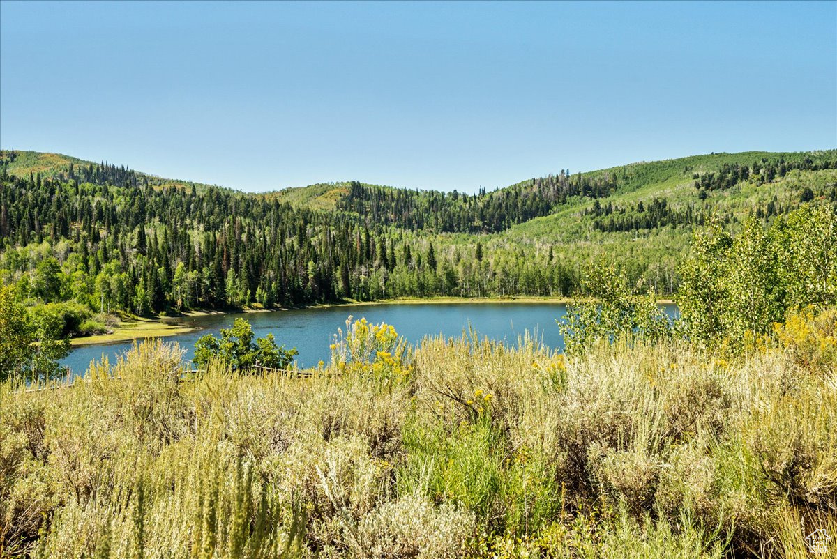 TIMBER LAKES - Land
