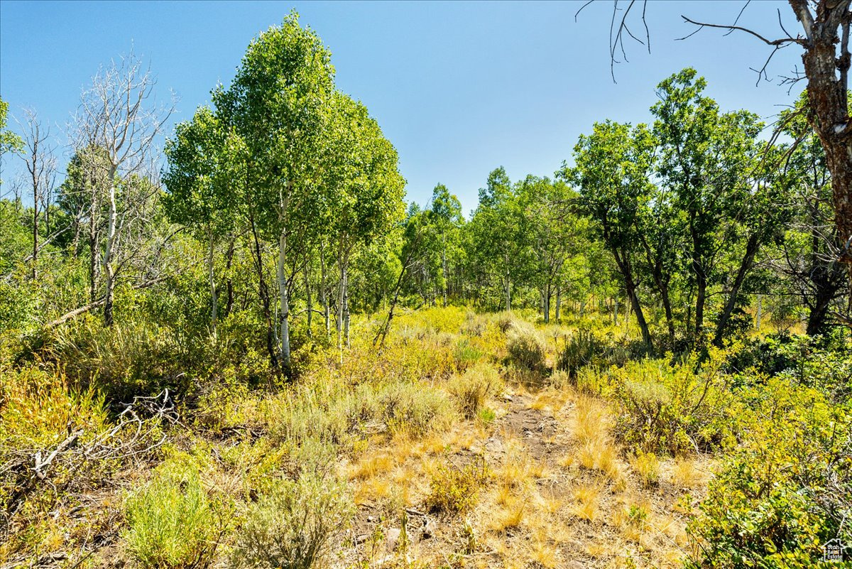 TIMBER LAKES - Land