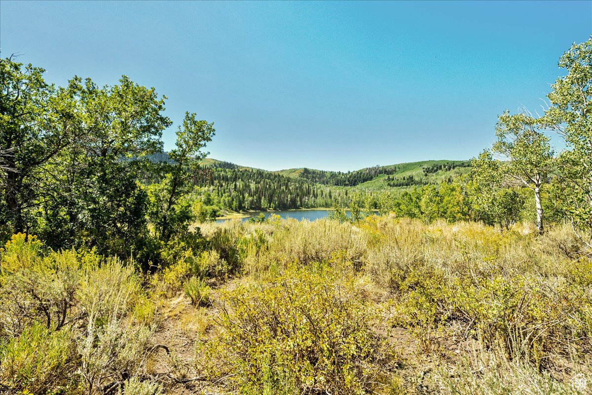 TIMBER LAKES - Land