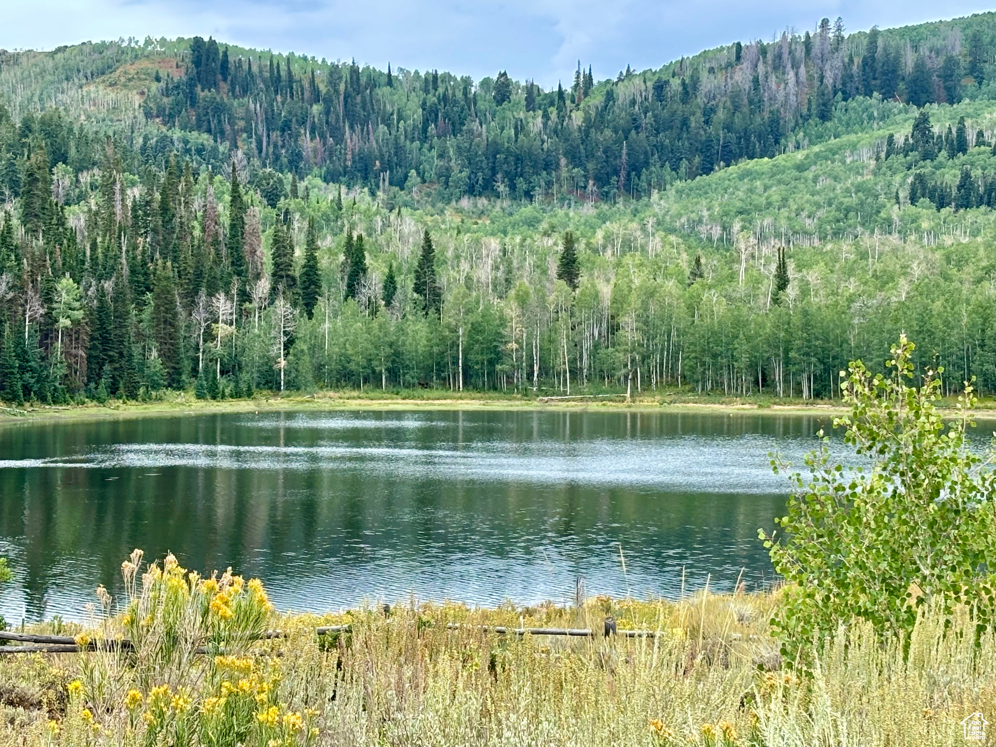 TIMBER LAKES - Land