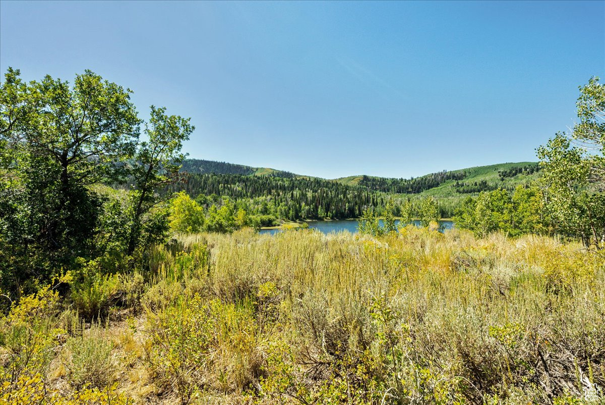 TIMBER LAKES - Land