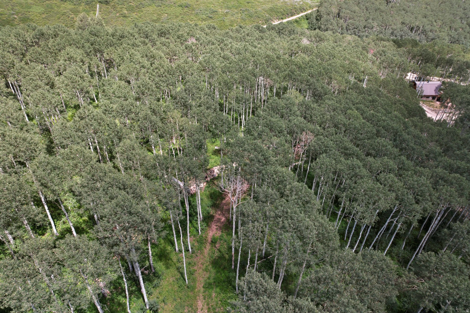 BRIGHTON ESTATES - Land