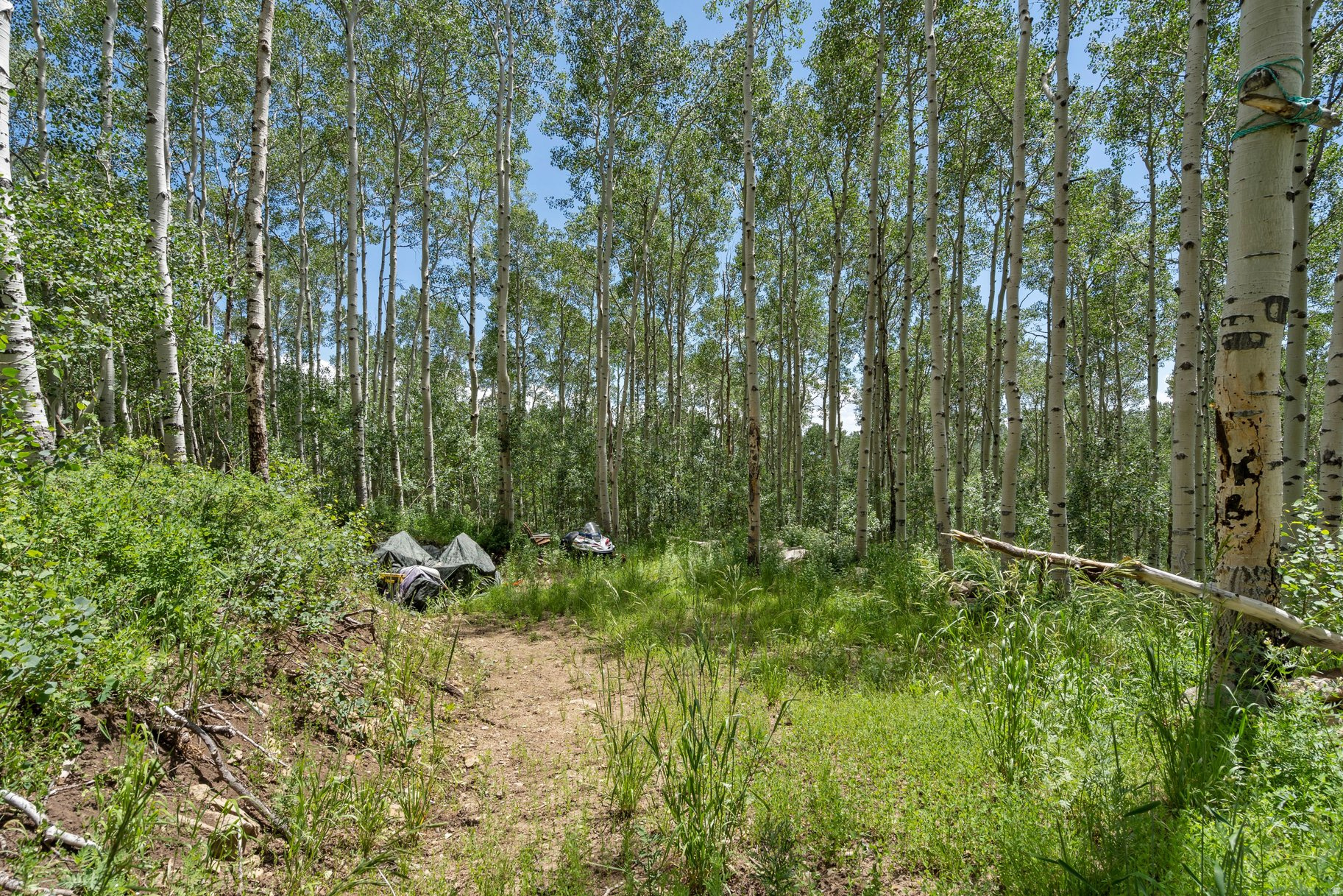 BRIGHTON ESTATES - Land