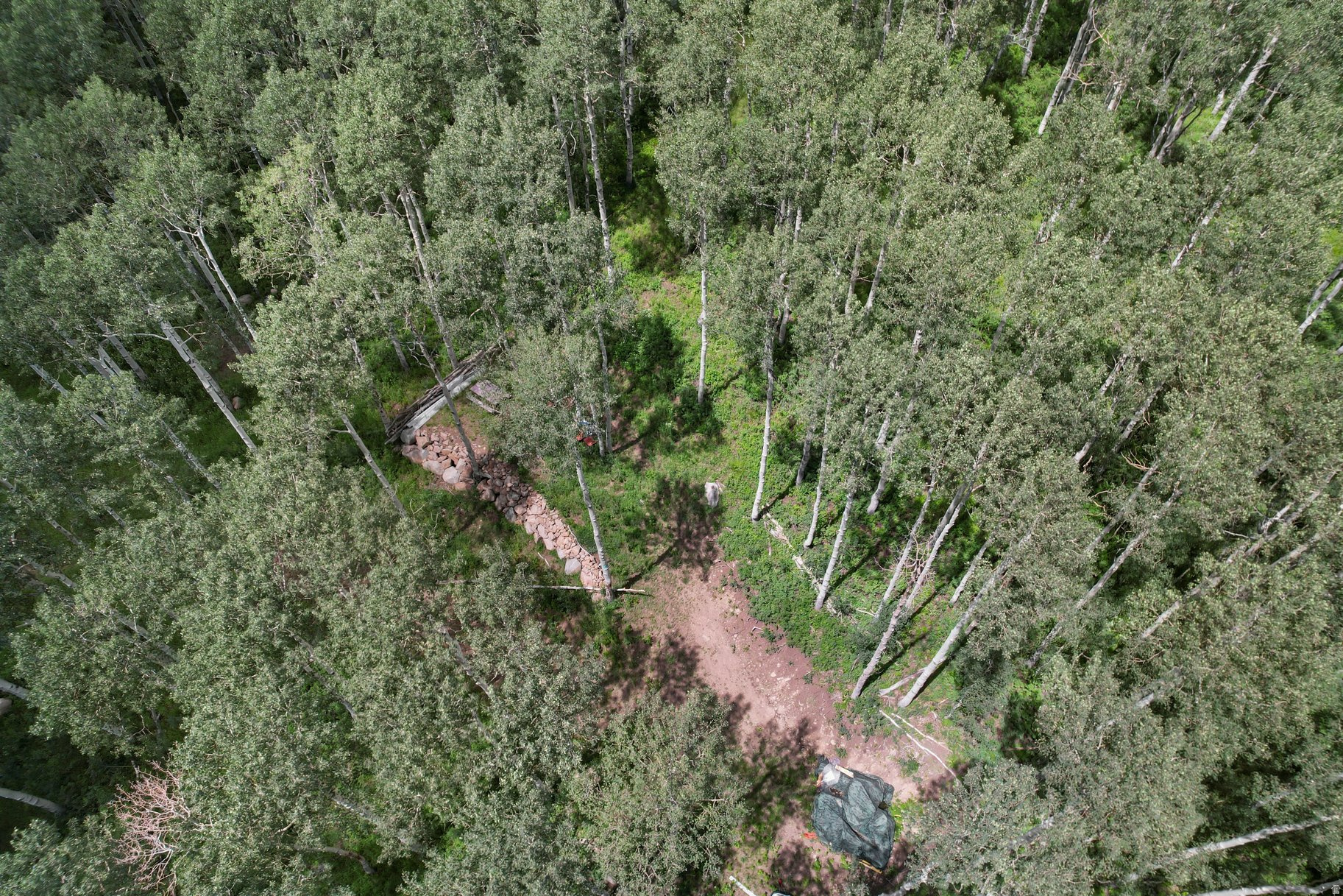 BRIGHTON ESTATES - Land