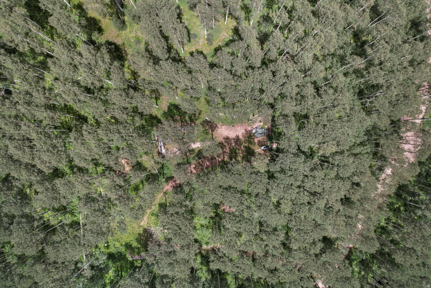 BRIGHTON ESTATES - Land